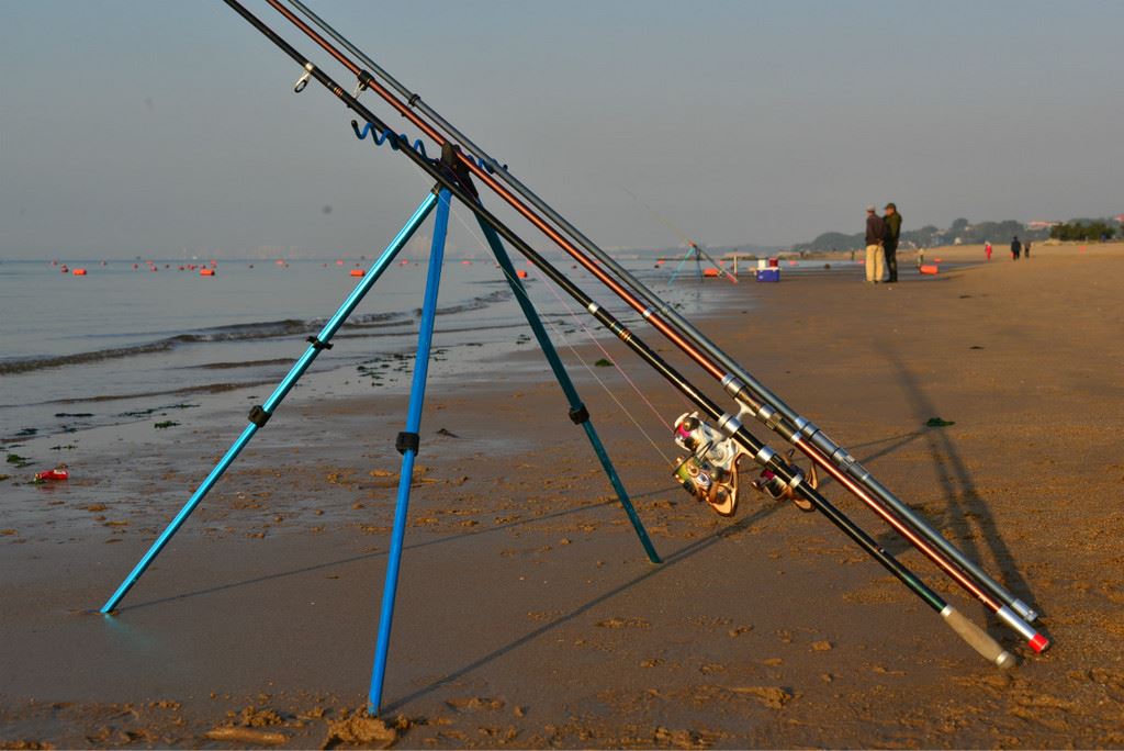 早起的鸟儿有虫吃