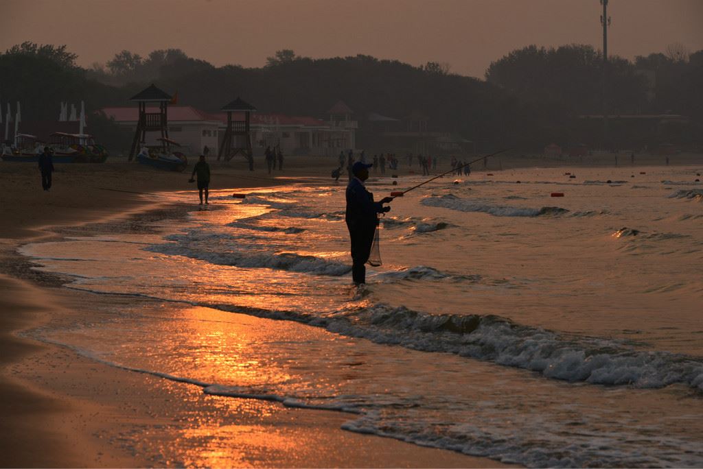 早起的鸟儿有虫吃
