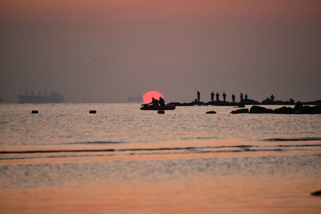 早起的鸟儿有虫吃