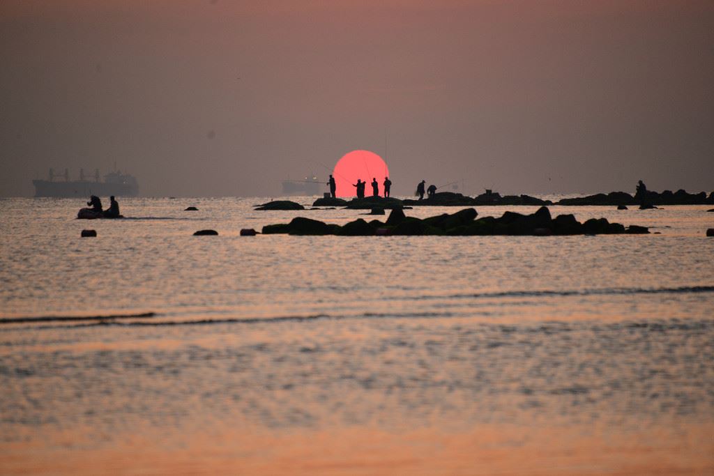 早起的鸟儿有虫吃