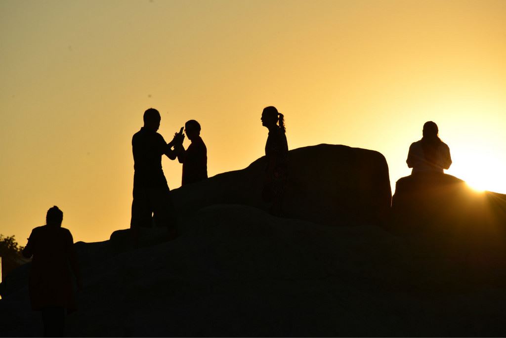 早起的鸟儿有虫吃