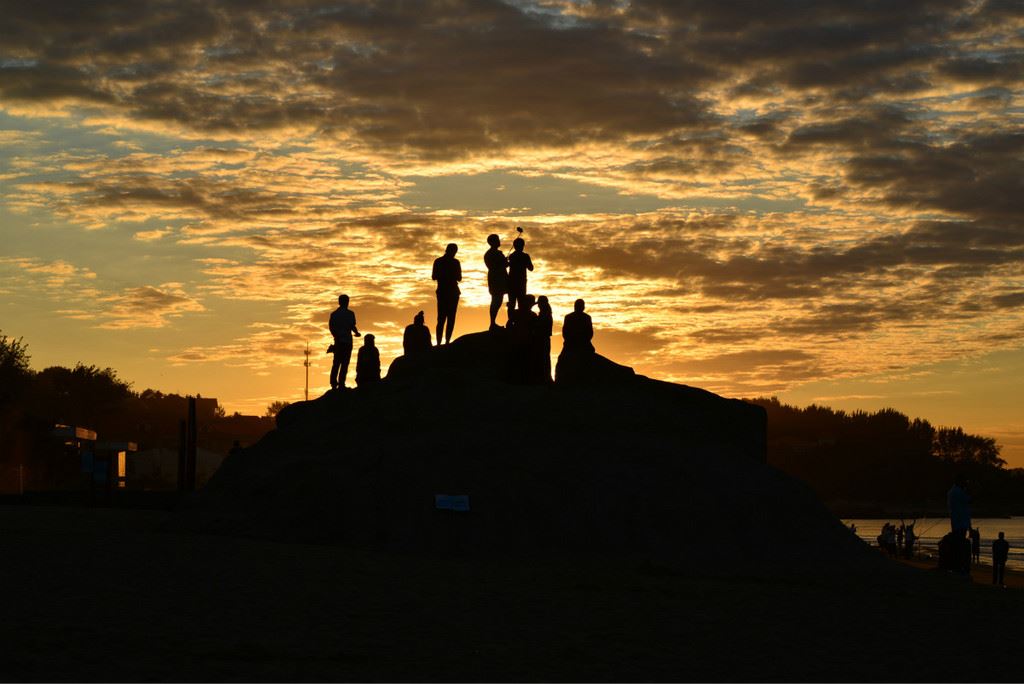 早起的鸟儿有虫吃