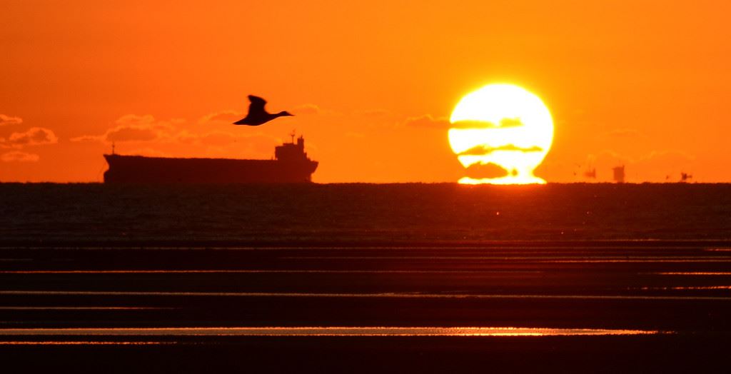 早起的鸟儿有虫吃