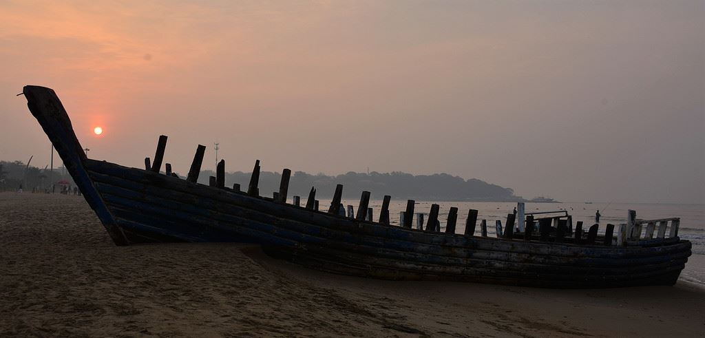 早起的鸟儿有虫吃