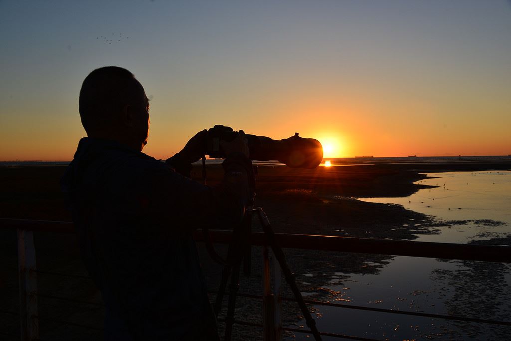早起的鸟儿有虫吃