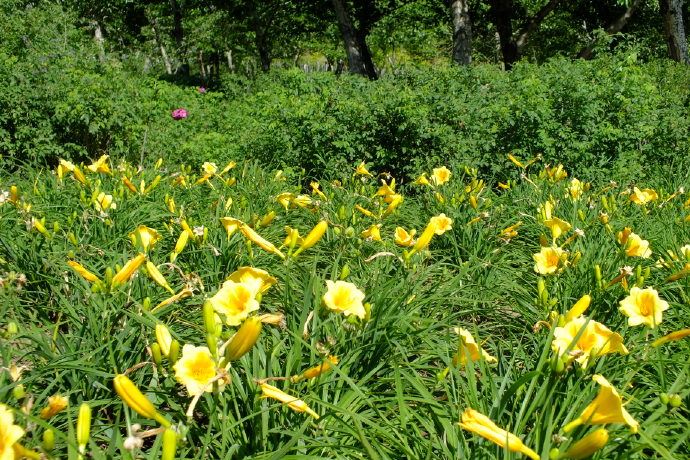 张北还有什么旅游景点？
