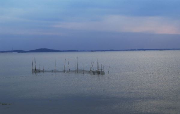 （随笔）石臼湖余波