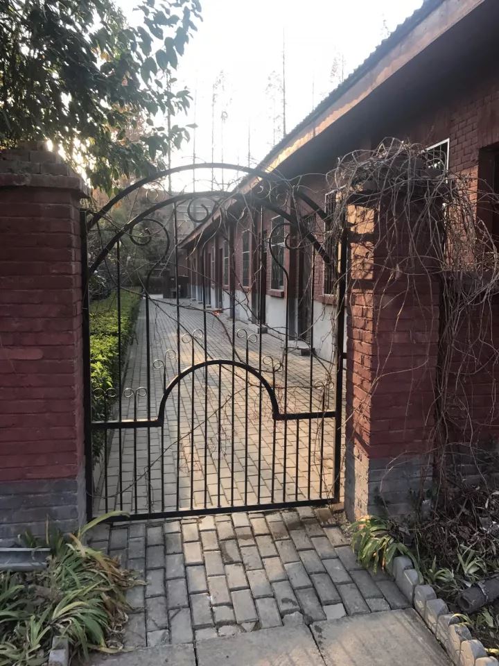 网红“土坯房书记”落马的背后