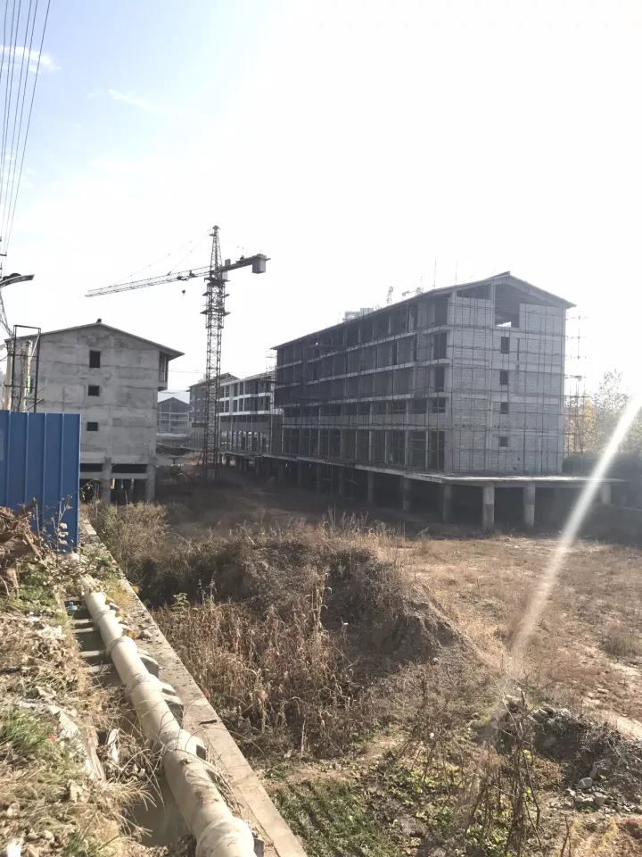 网红“土坯房书记”落马的背后