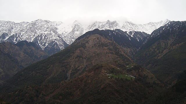 游记：达兰萨拉之旅