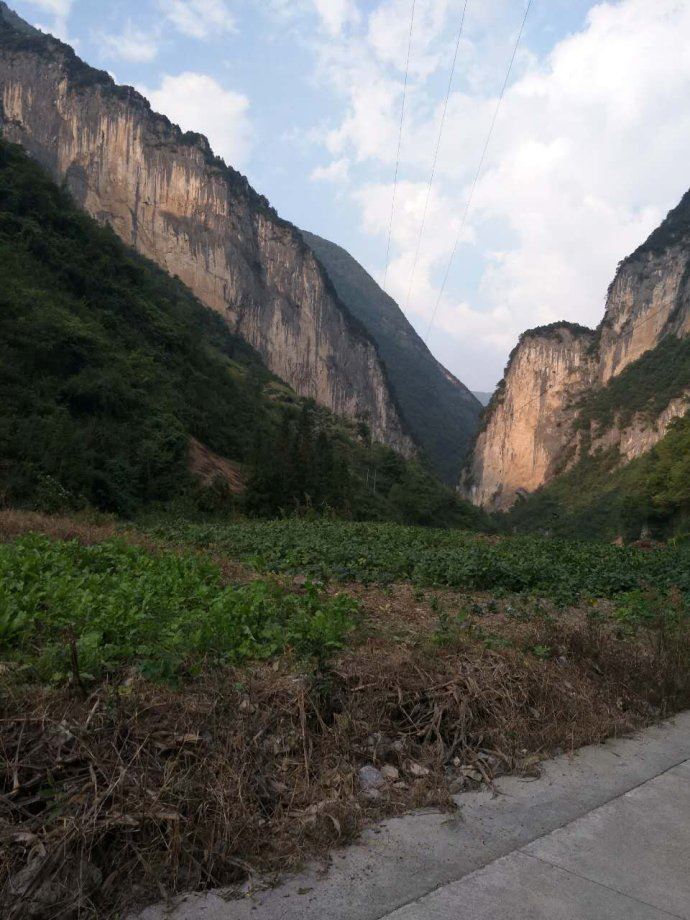 秦陇文化和巴蜀文化的撞击