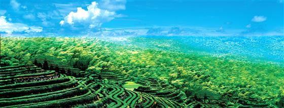 永川旅游将会让世界侧目