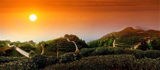 永川旅游将会让世界侧目