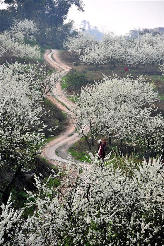 永川旅游将会让世界侧目