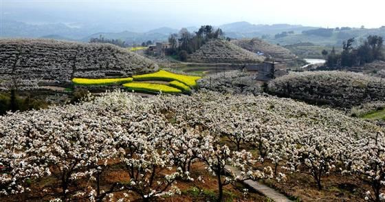 永川旅游将会让世界侧目