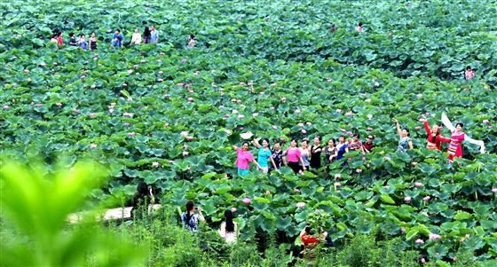 永川旅游将会让世界侧目
