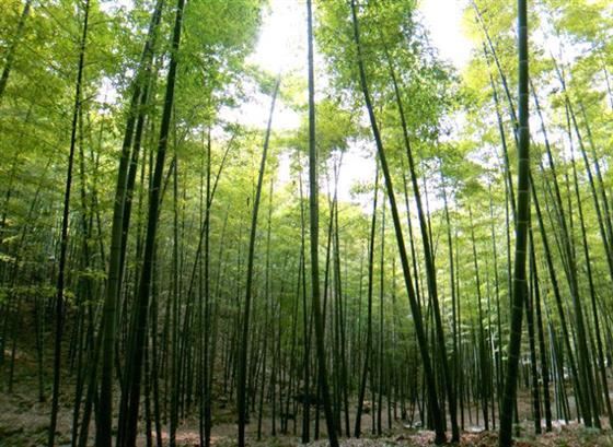 永川旅游将会让世界侧目