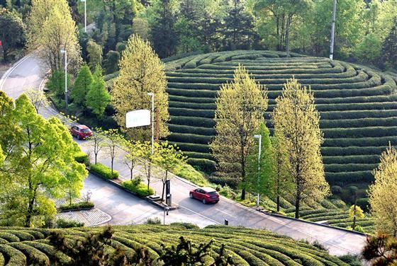 永川旅游将会让世界侧目