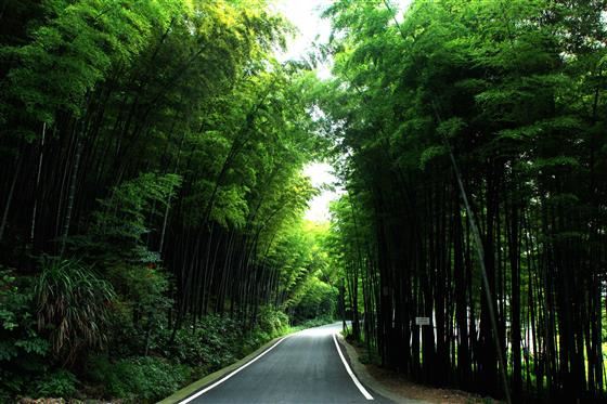 永川旅游将会让世界侧目