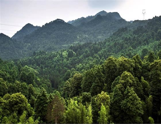 永川旅游将会让世界侧目