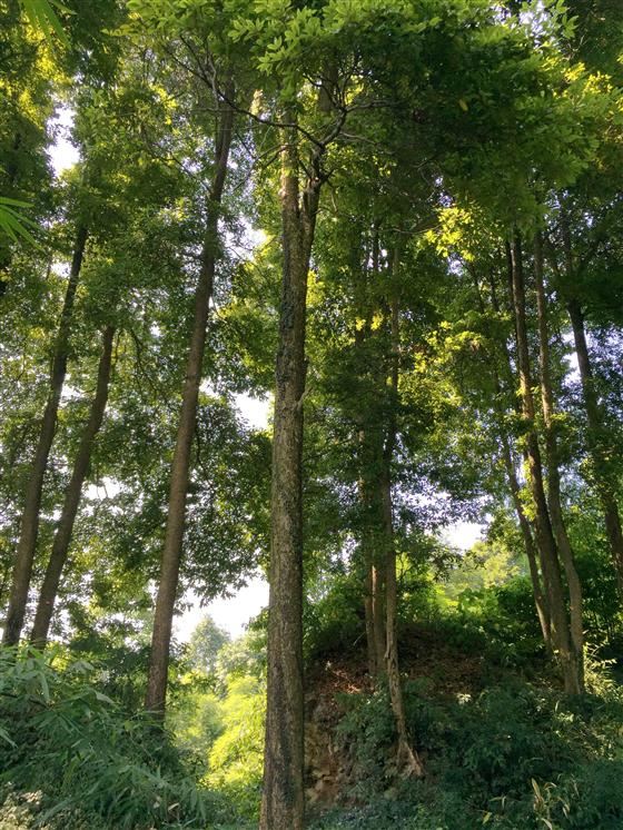 永川旅游将会让世界侧目