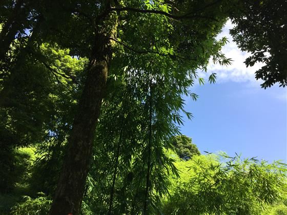 永川旅游将会让世界侧目