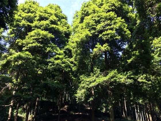 永川旅游将会让世界侧目