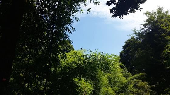 永川旅游将会让世界侧目