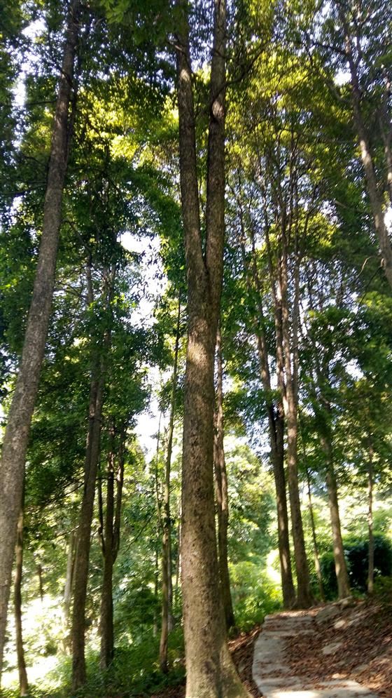 永川旅游将会让世界侧目