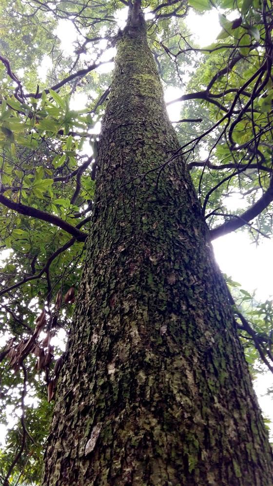 永川旅游将会让世界侧目