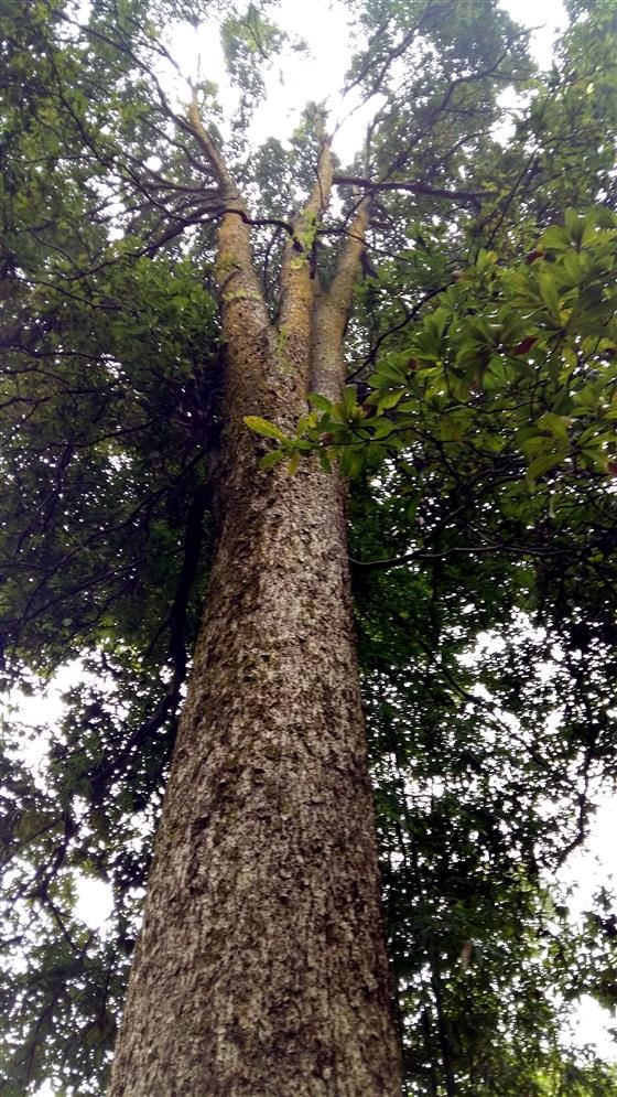 永川旅游将会让世界侧目