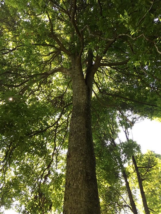 永川旅游将会让世界侧目