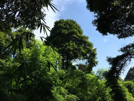 永川旅游将会让世界侧目