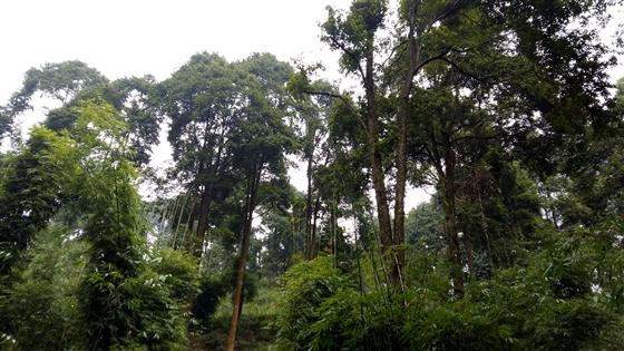 永川旅游将会让世界侧目