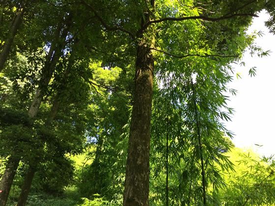 永川旅游将会让世界侧目