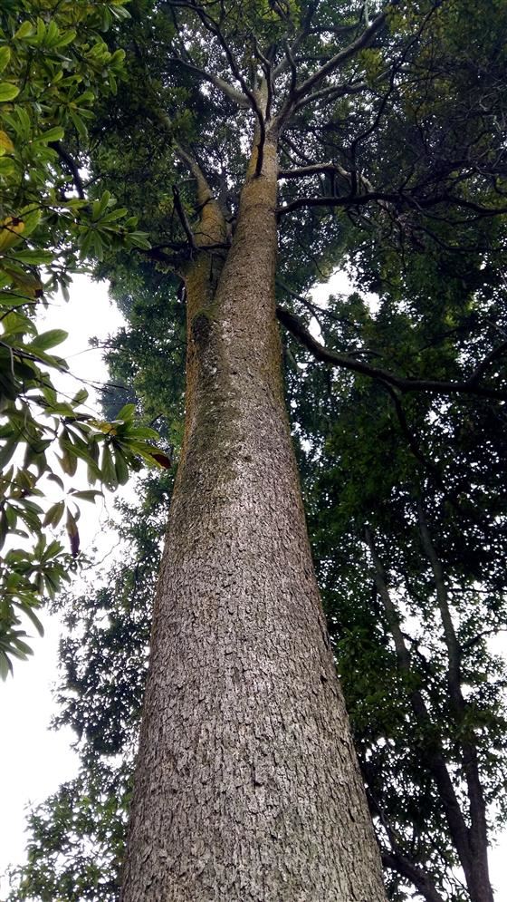 永川旅游将会让世界侧目