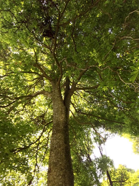 永川旅游将会让世界侧目