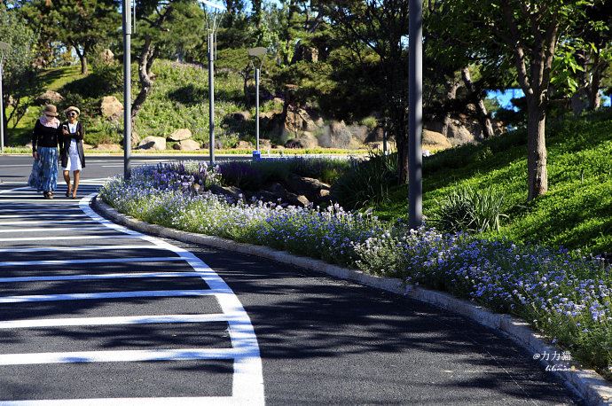 【北京】黑天鹅数千元的“贵族”蛋糕