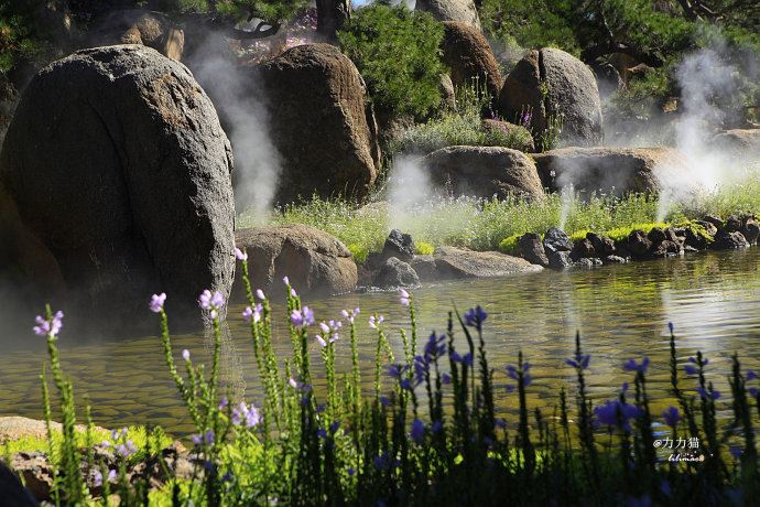 【北京】黑天鹅数千元的“贵族”蛋糕