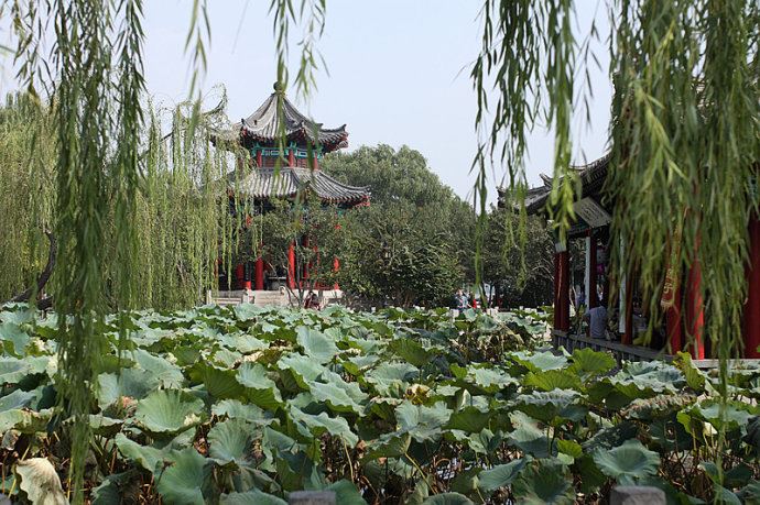 实拍：大明湖寻找我的夏雨荷