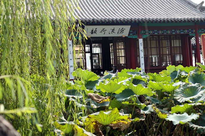 实拍：大明湖寻找我的夏雨荷