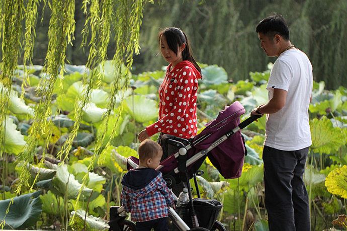 实拍：大明湖寻找我的夏雨荷