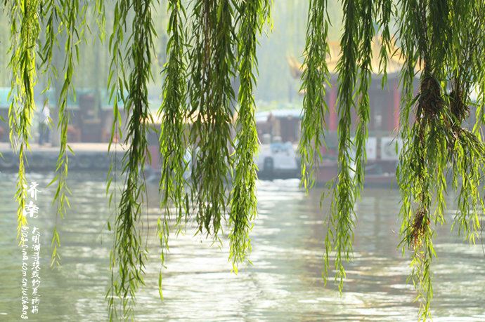 实拍：大明湖寻找我的夏雨荷