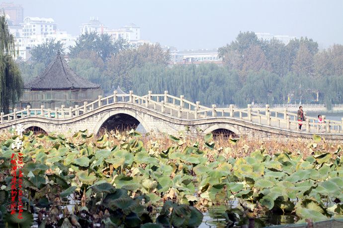 实拍：大明湖寻找我的夏雨荷