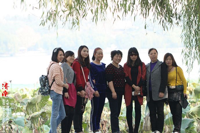 实拍：大明湖寻找我的夏雨荷