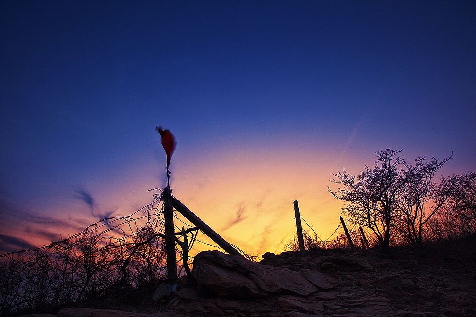 【名律出招】17岁少女举报遭父母逼婚,还想读大学,究竟路在何方?