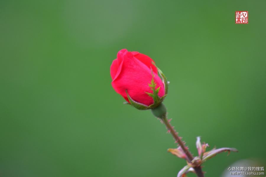 红尘俗事皆自扰