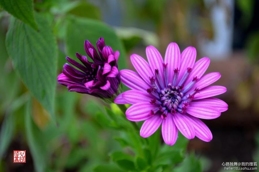 红尘俗事皆自扰