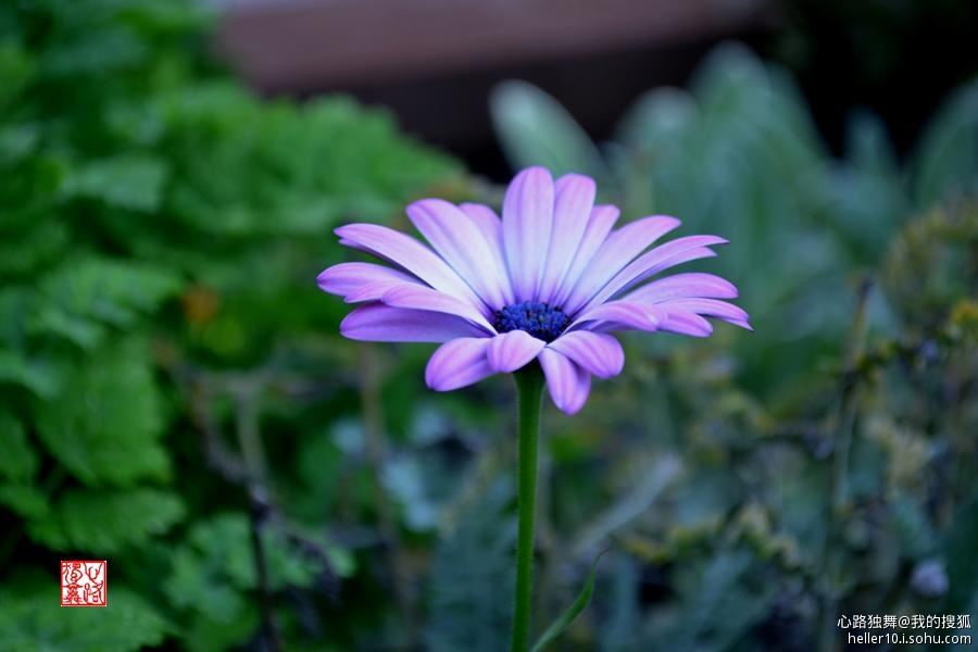 红尘俗事皆自扰