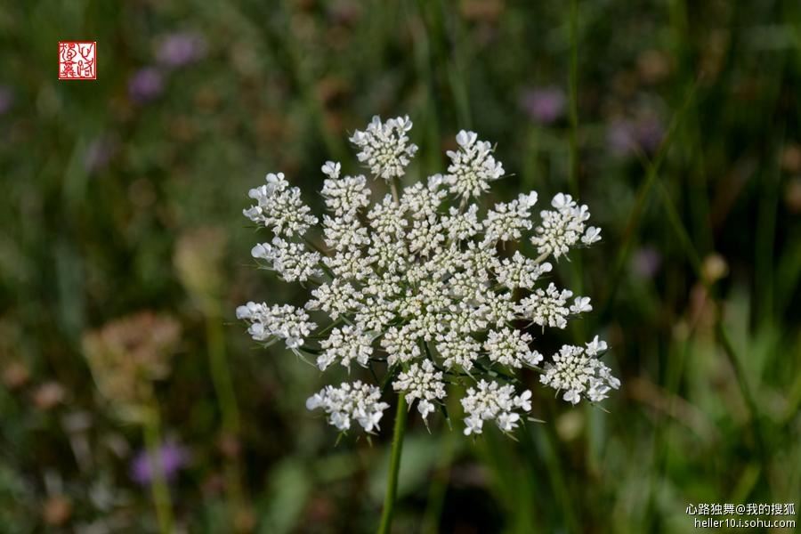 红尘俗事皆自扰